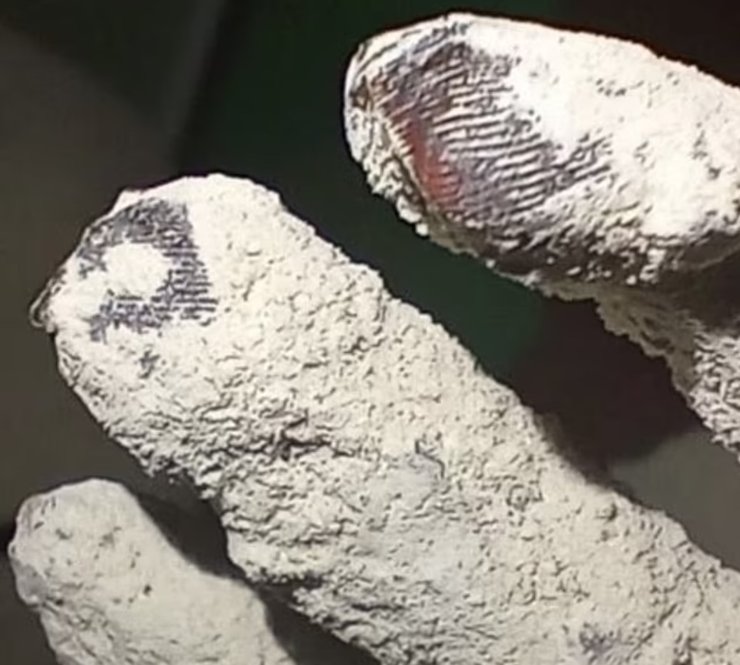 відбитки пальців, мумія, інопланетянин