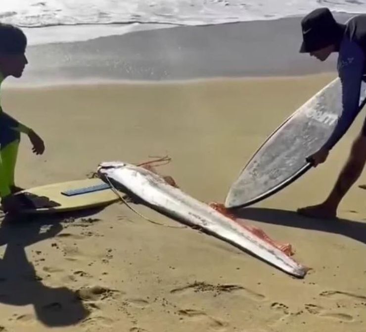 Предвестник катастрофы в Мексике, что напугало местных жителей, мистические истории