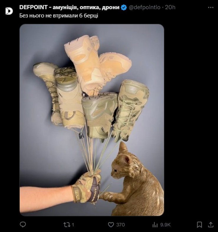 Рыжий кот, мем, фото