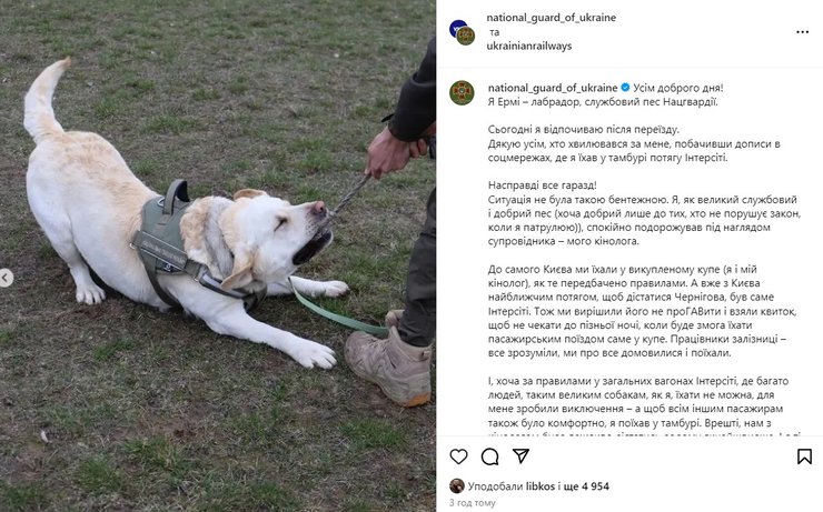 Укрзализныця, животные, лабрадор, Эрми, Нацгвардия