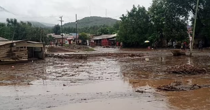 По меньшей мере 47 человек погибли и 85 получили ранения из-за оползня в Танзании