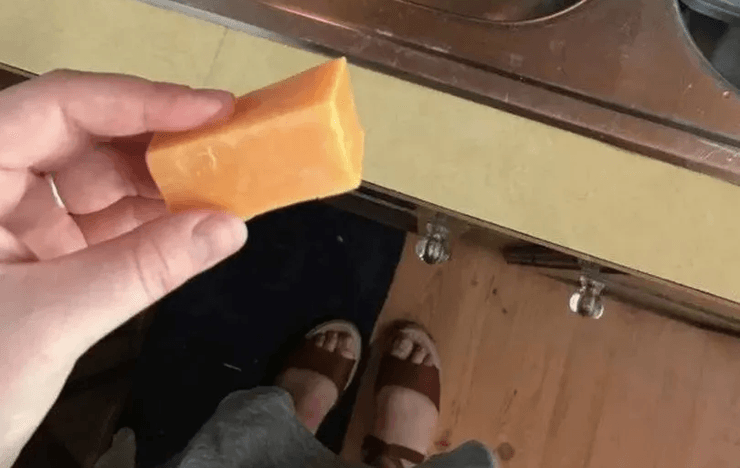 Мытье рук, мыло, жидкое мыло, пена, твердое мыло, кусок сыра, женщина мыла руки сыром, соцсети, вирусное фото