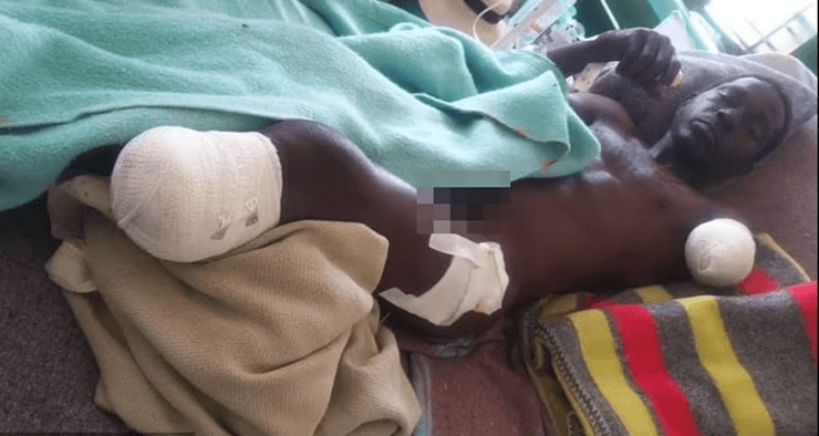 Віндерс сіанен, зімбабве, крокодил, слон, порятунок