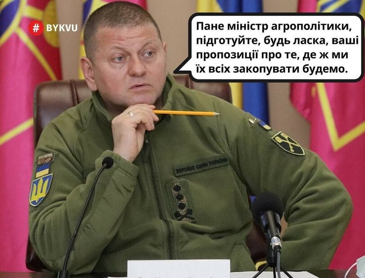 Мем із Валерієм Залужним, фото