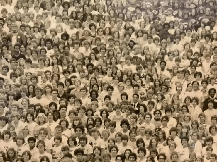 Визуальная головоломка, тест, задача, проверка зрения, проверка внимательности, зрительная память, проверить IQ, панда среди людей