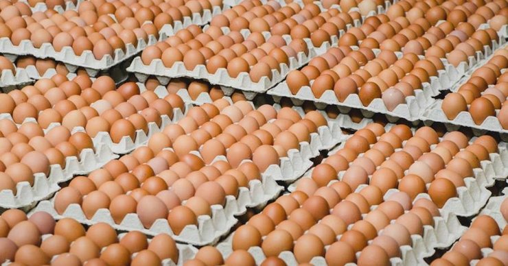 яйця, ціни на яйця, курячі яйця, скільки коштує 10 яєць, як зростають ціни на яйця, скільки коштує лоток яєць, зростання цін, ціни на продукти восени