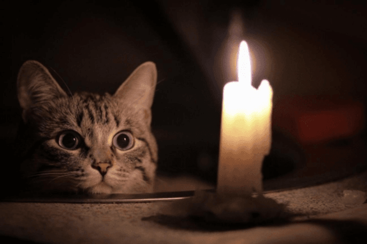 Решение правительства будет способствовать улучшению платежной дисциплины украинцами, говорят эксперты