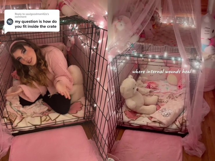 Девушка, клетка, игрушки, комната,