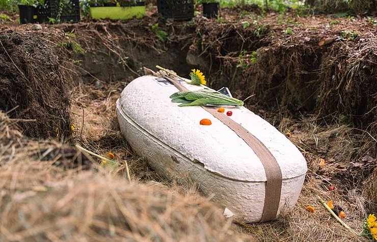 биоразлагаемый живой гроб