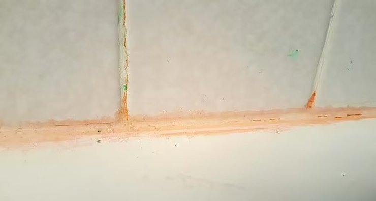 розовая плесень