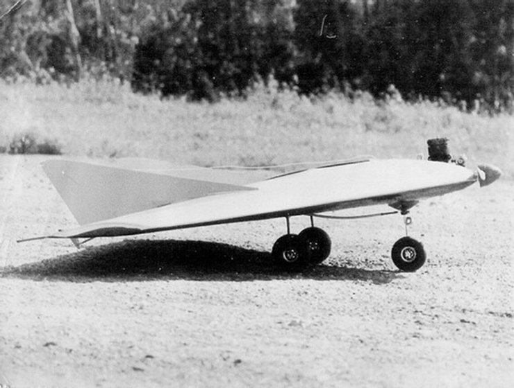 БПЛА, дрон, первый, аэродром, 1968, израиль