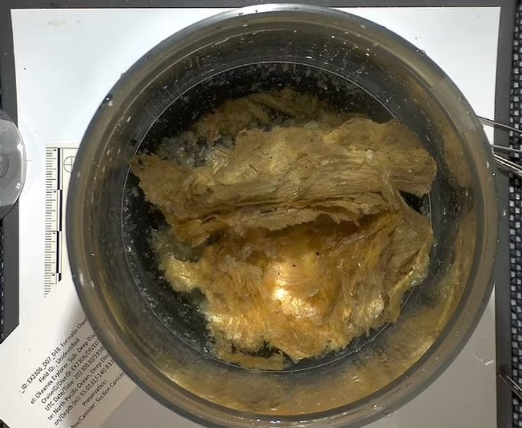 лаборатория золотое яйцо