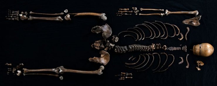 колодец, останки, скандинавская сага