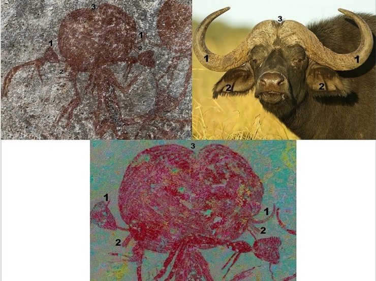 наскальные рисунки буйвол