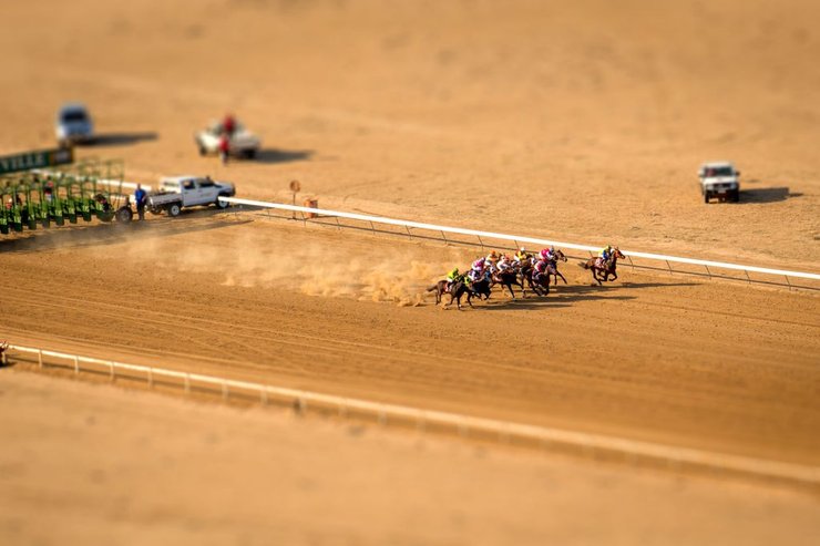 скачки в австралии, лошади