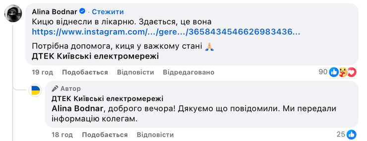 Кошку нашли и отнесли в ветеринарную клинику