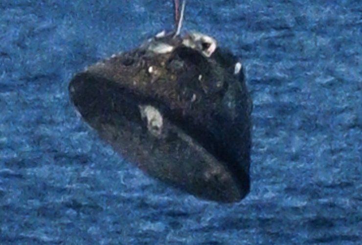 Артеміда 2 Оріон