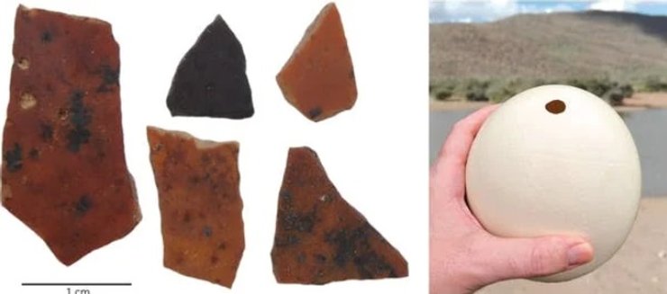 страусы, яйца, сосуды, первые люди, Калахари