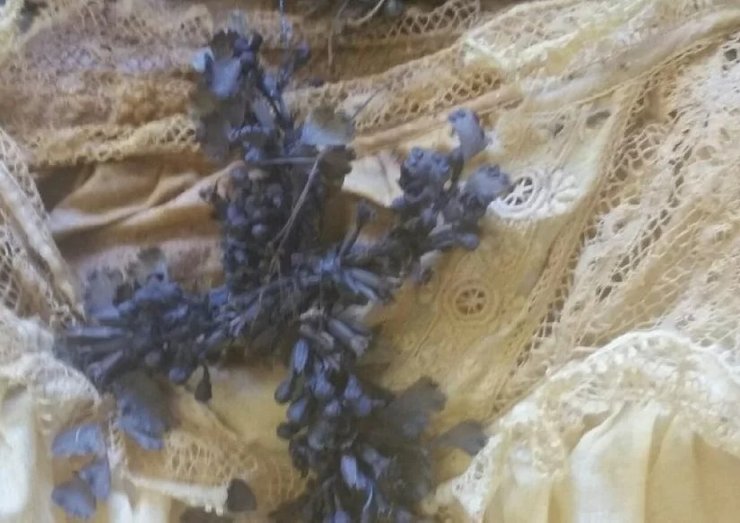 самое старое кладбище, Сан-Франциско, детский гроб, спящая красавица, ремонтные работы, анализ днк, погребение