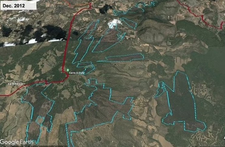 ліс мексика 2012