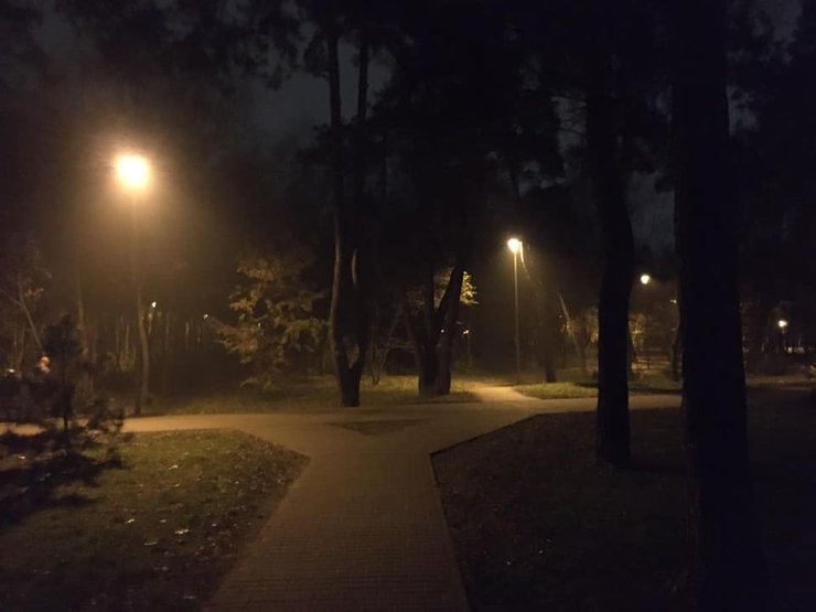 Парк победа, задымление, Киевзеленбуд, фото