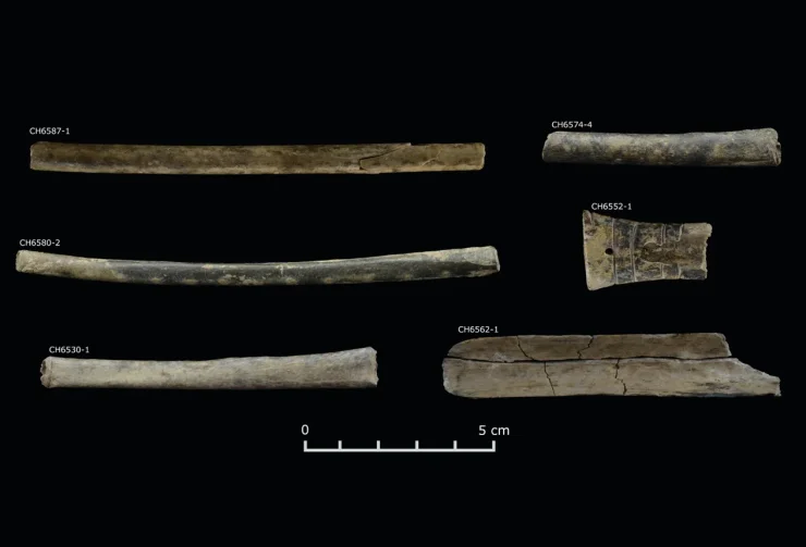 артефакты предметы находка перу