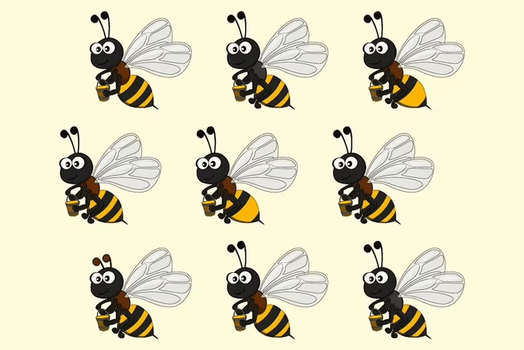 Визуальная головоломка, пчелы, задачка с пчелами, найди отличия, проверка зрения, проверка внимания, тест на наблюдательность, высокий IQ,