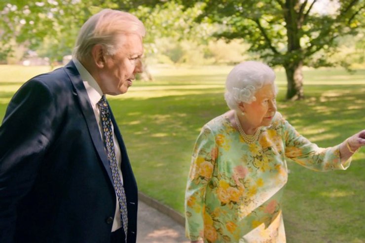 Дэвид Аттенборо