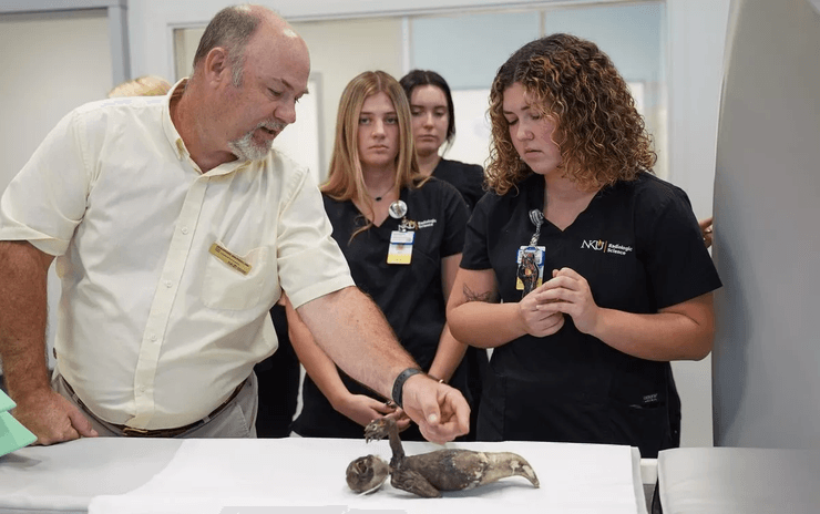 Мумия русалки, необычное существо, останки животного, русалка, экспонат русалки, японская мифология, исследование мумии