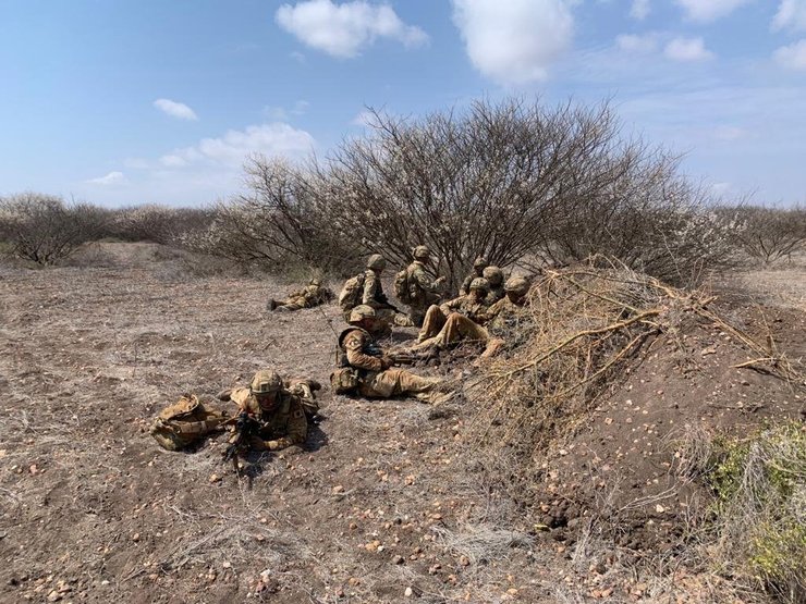 заповедник, пожар, кения, британские военные, погибший слон, слон, Лоллдайга