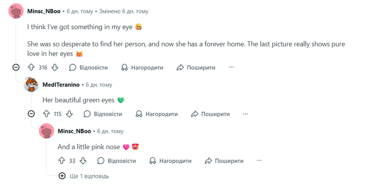 Комментарии о бездомной кошке