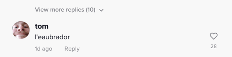 лабрадор тюлень