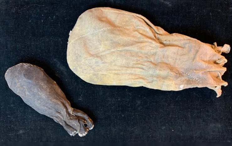 монети, скарб, скарб