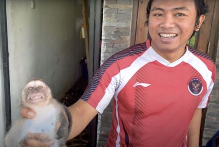 Аджис Расьяна, Мини