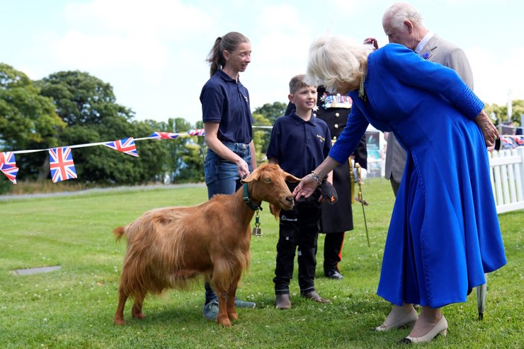 Чарльз ІІІ, Камилла, коза, мальчик, женщина
