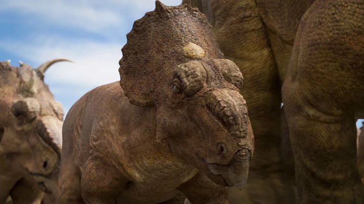 пахиринозавр динозавр