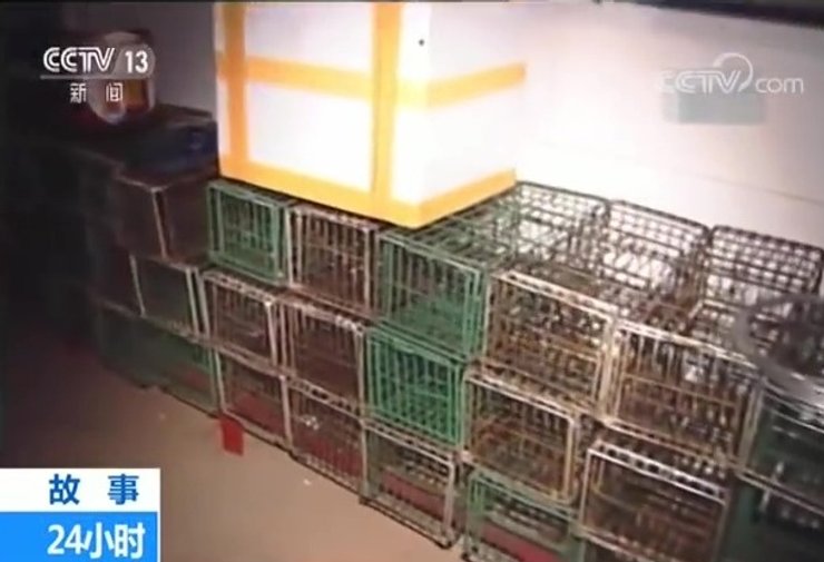 ученые в Ухани,