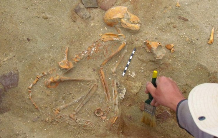 порт береника, древний египет, кладбище домашних животных