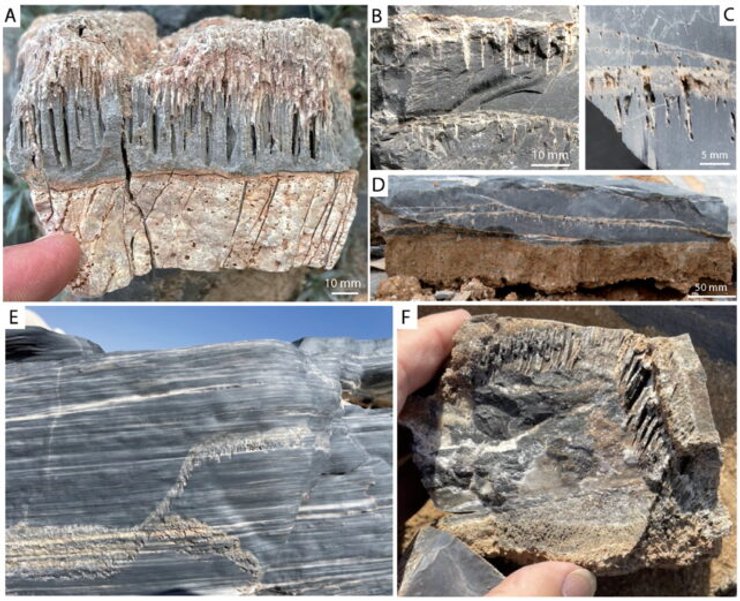 намібія, пустеля намібії, намібія пустеля