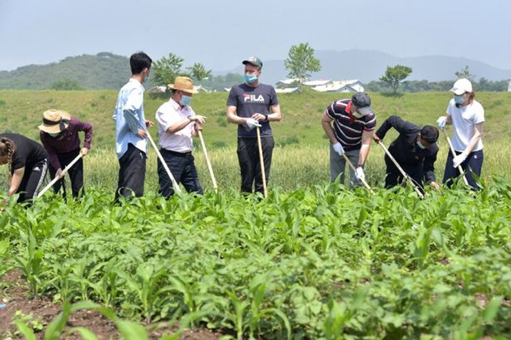 Элита помогла прополоть поле на овощной ферме Кочанг