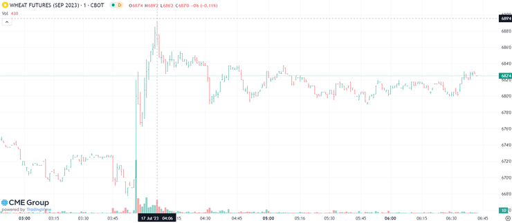 Ціна пшениці на світових ринках збільшилася більш ніж на 4%