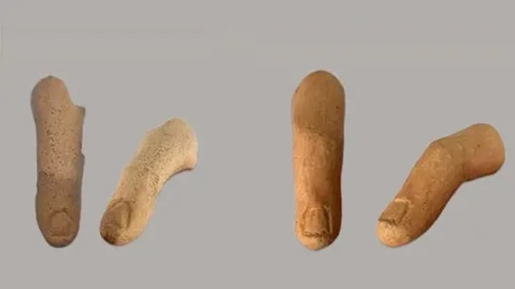 раскопки, артефакты, святилище, перстень, пальцы, находка