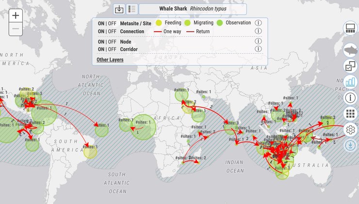 миграция в океане