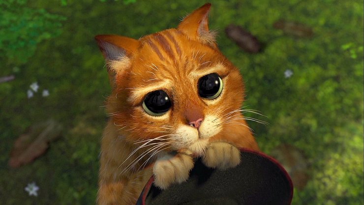 кот из шрека, кот в сапогах, мультфильм шрек, глаза кота из шрека