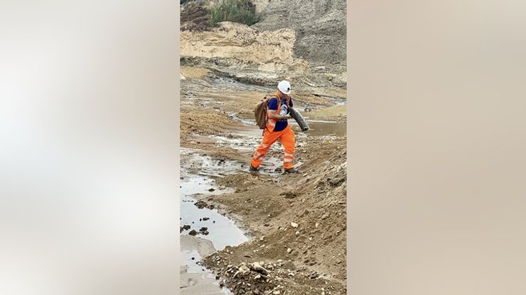 бивень, мамонт