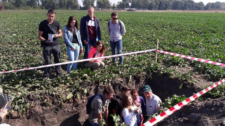 поддержка агросектора, аграрное образование