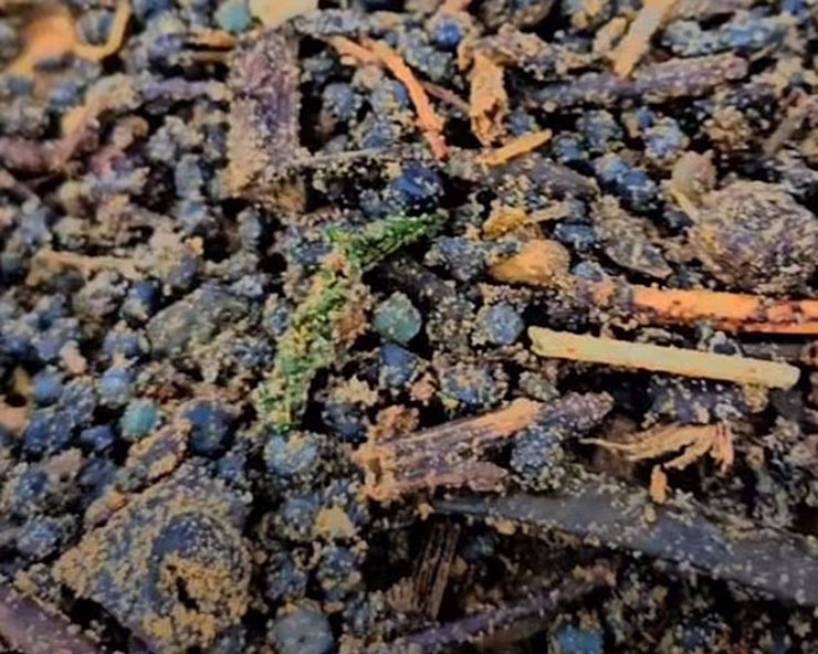 гранули пластик пляж