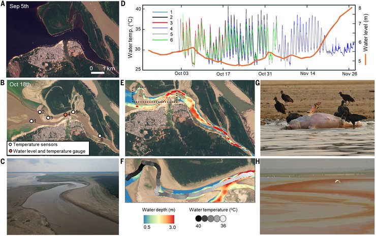 спека озера амазонки