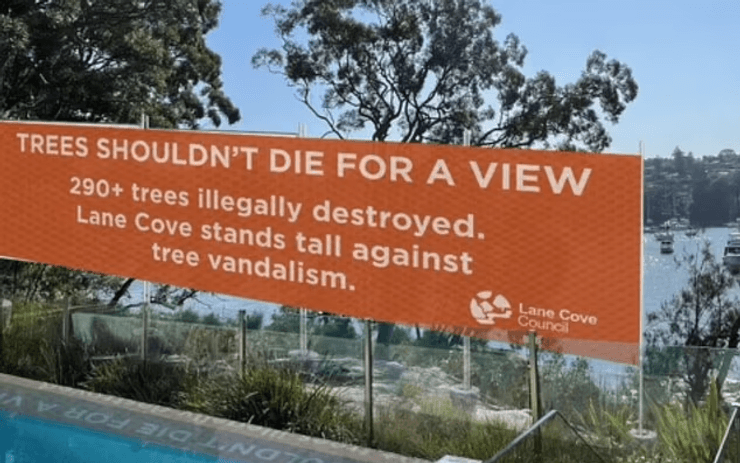 Люди вырубали деревья ради вида на пляж, вырубали деревья из заповедника, владельцы домов, вид на гавань, уголовное дело, месть, баннер,