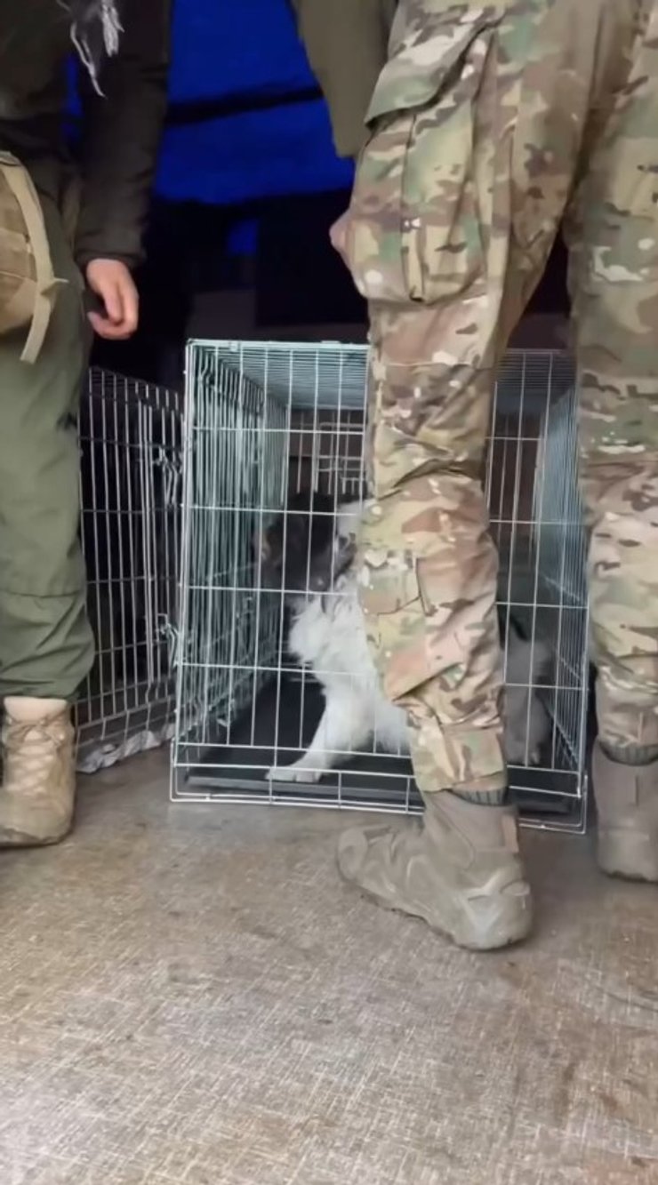 Сумська область, РФ, руїни